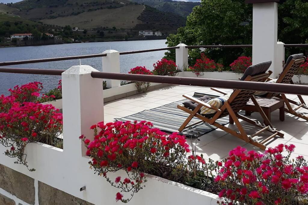 Casa Dos Vinhais - Douro Valley Coleja エクステリア 写真