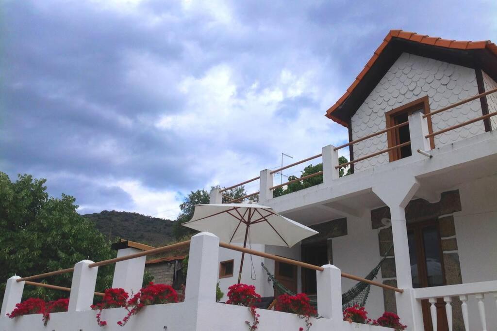 Casa Dos Vinhais - Douro Valley Coleja エクステリア 写真