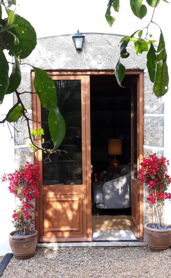 Casa Dos Vinhais - Douro Valley Coleja エクステリア 写真