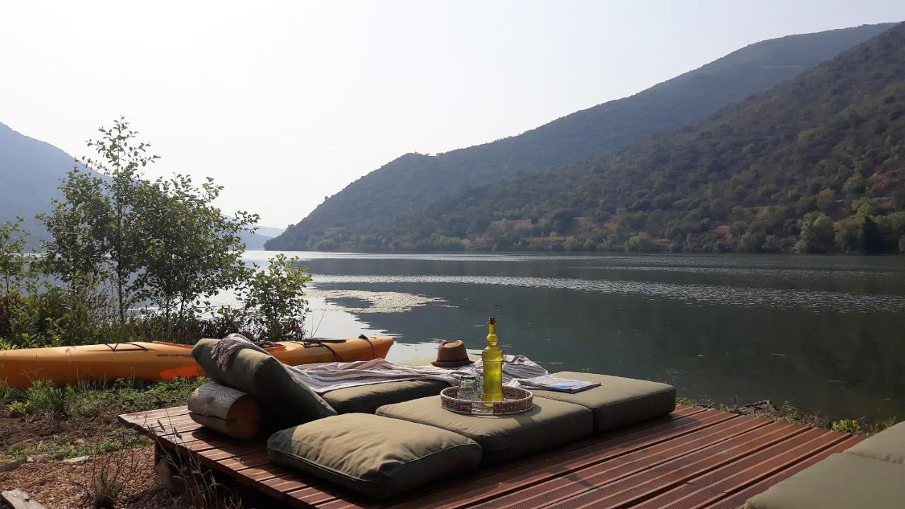 Casa Dos Vinhais - Douro Valley Coleja エクステリア 写真
