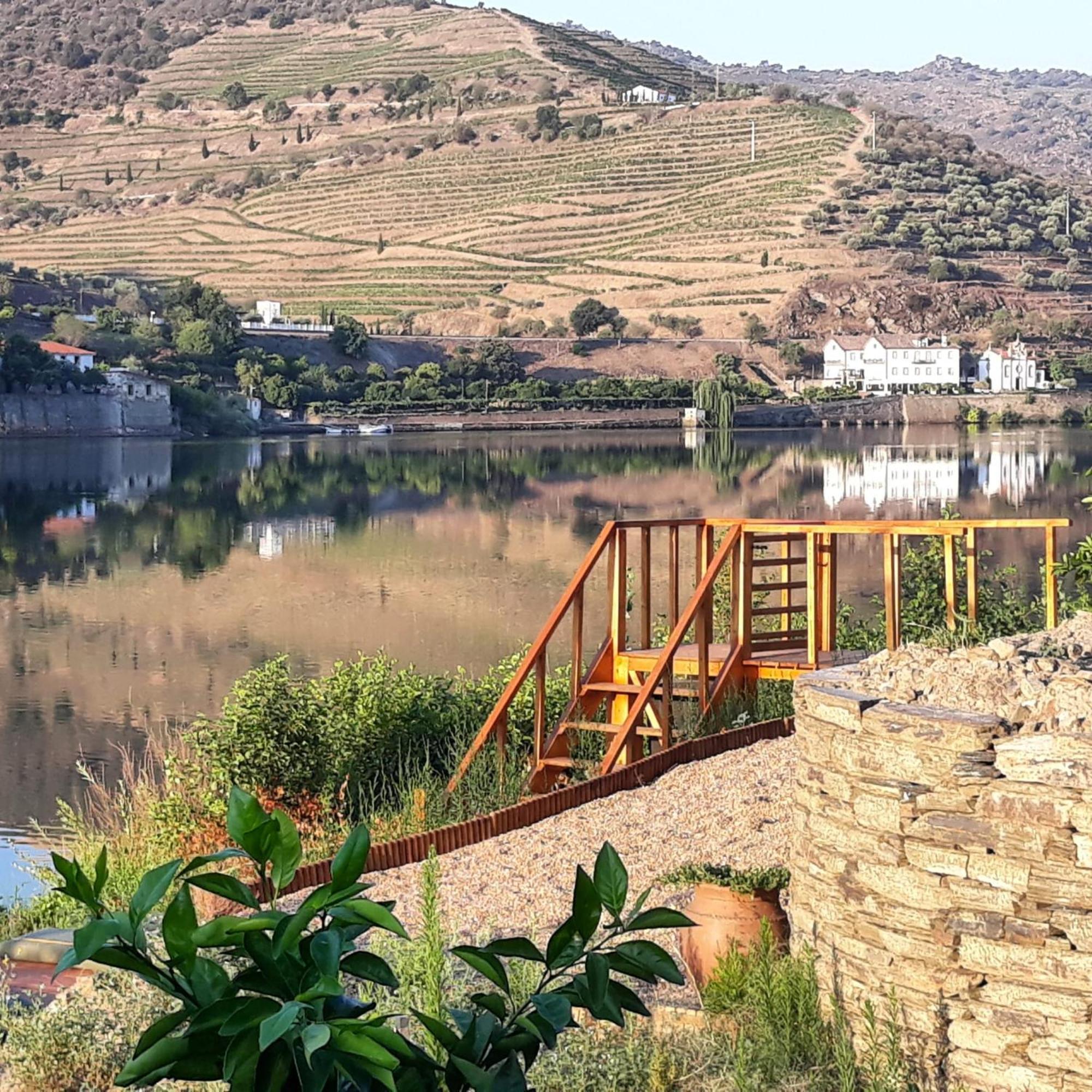 Casa Dos Vinhais - Douro Valley Coleja エクステリア 写真